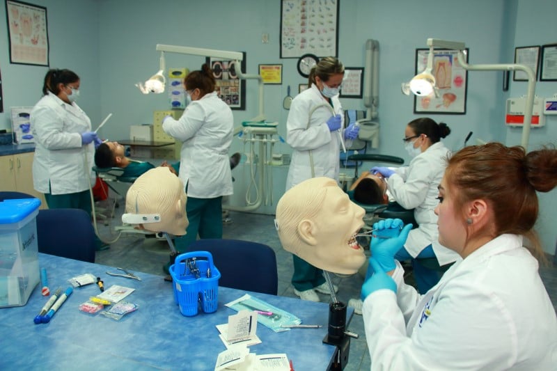 Dental Assisting Program South Texas Dental Assistant Courses
